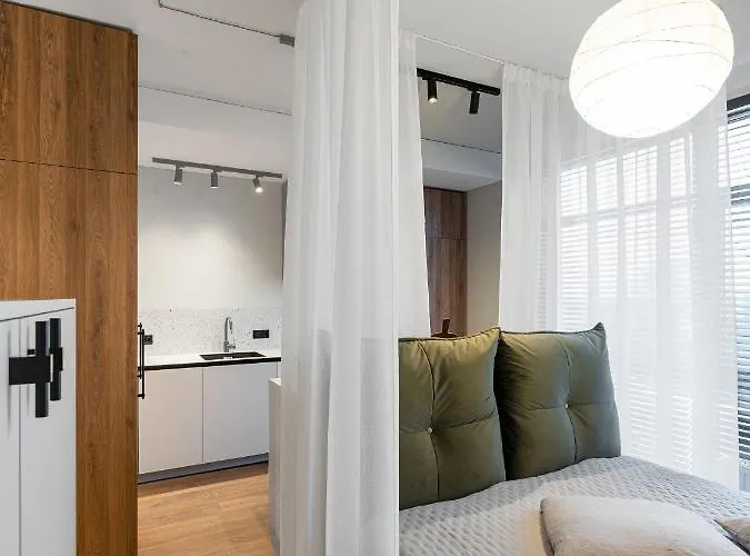 Cosy Panoramic In The Center For 1-2 Pers. アパート カウナス